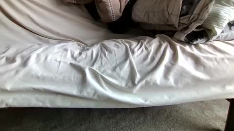 watch me stroke online show from 12, 4, 2026