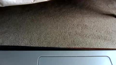 Snapshot of gowiththeflow37 chatting on 3, 5, 2026 watch me stroke online show from 3, 5, 2026