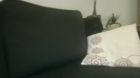 greatdick25700 online show from 8, 9, 2025