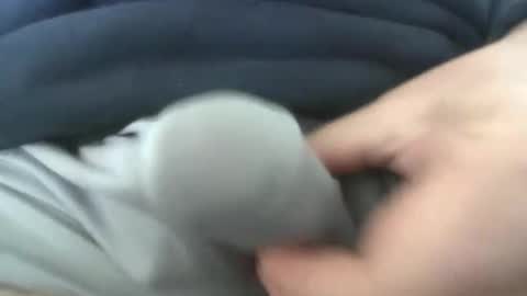 gr8head online show from 7, 4, 2026