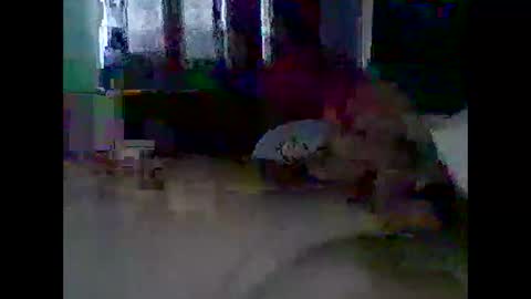 grittslappa online show from 11, 11, 2025