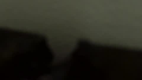 gronnn online show from 18, 1, 2026