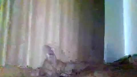 grupalenfection online show from 7, 2, 2025