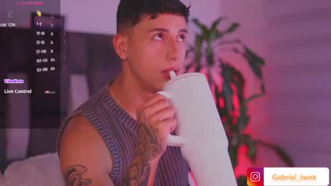 Snapshot of guy_twinks chatting on 1, 8, 2026 Gabriel online show from 1, 8, 2026