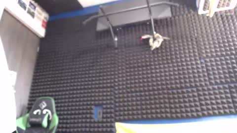 Snapshot of gymbro42 chatting on 7, 8, 2026 Gymbro42 online show from 7, 8, 2026