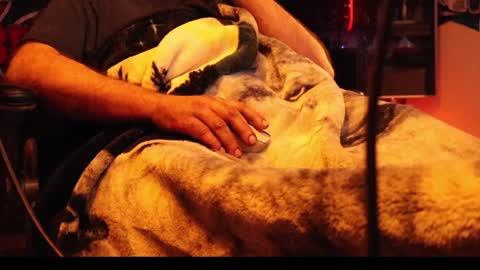 Snapshot of h0tttsteel chatting on 18, 12, 2024 h0tttsteel online show from 18, 12, 2024