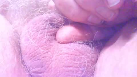 hagridthehorrible online show from 18, 3, 2026