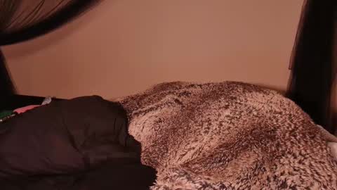 HailWilds online show from 1, 3, 2025