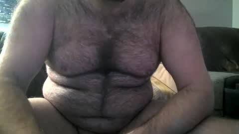 Snapshot of hairiestbear chatting on 8, 2, 2025 Hairiest Bear online show from 8, 2, 2025