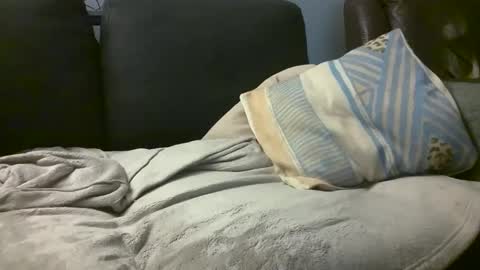 Snapshot of hairiestbear chatting on 18, 2, 2025 Hairiest Bear online show from 18, 2, 2025