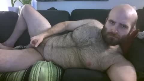 Hairiest Bear online show from 27, 3, 2026