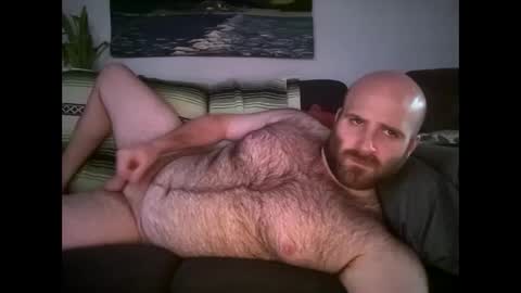 Hairiest Bear online show from 22, 4, 2026