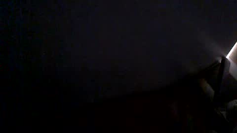 Snapshot of hairyman007 chatting on 24, 6, 2026 hairyman007 online show from 24, 6, 2026