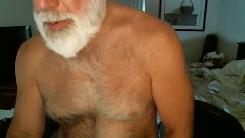 Snapshot of hairypecsguy chatting on 3, 6, 2026 Hairy pecs online show from 3, 6, 2026