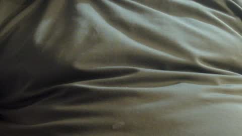 Snapshot of hamhead71 chatting on 1, 12, 2024 hamhead71 online show from 1, 12, 2024