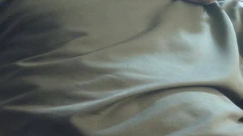 Snapshot of hamhead71 chatting on 1, 12, 2024 hamhead71 online show from 1, 12, 2024