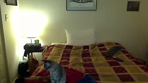 hammerthatthang73 online show from 4, 11, 2025