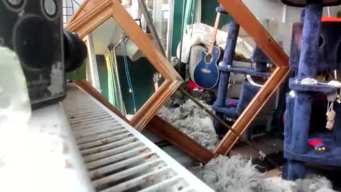 handncocknocum online show from 28, 2, 2025