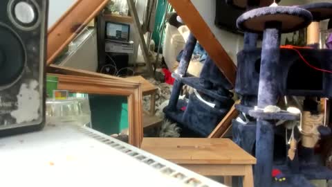 handncocknocum online show from 9, 3, 2025