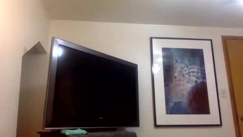 Snapshot of handsome01_ chatting on 23, 12, 2025 handsome01_ online show from 23, 12, 2025