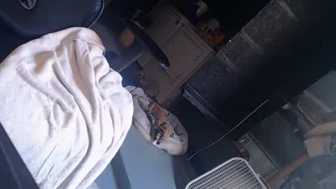 Snapshot of handystud33 chatting on 3, 6, 2026 handystud33 online show from 3, 6, 2026