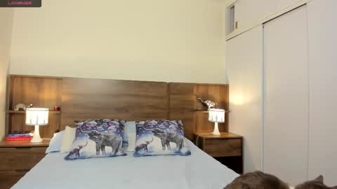 taylor live   online show from 28, 9, 2025