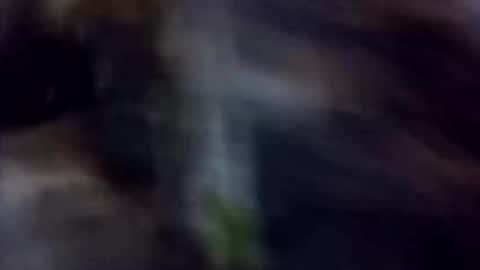 happydick69a online show from 2, 10, 2025