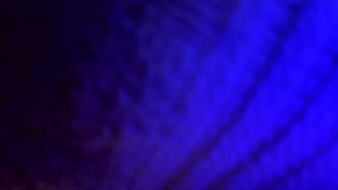 Jhonassmann12 online show from 19, 4, 2026