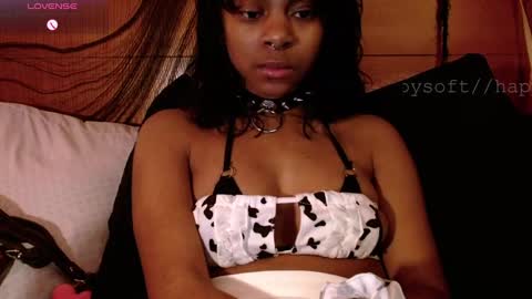 meatwad online show from 3, 3, 2025