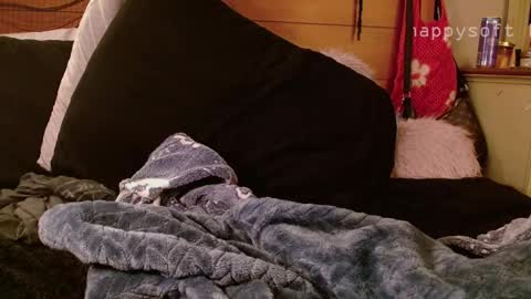 meatwad online show from 11, 3, 2025