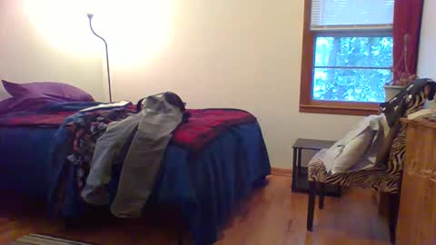 Snapshot of har5 chatting on 1, 12, 2025 Hardy-Har online show from 1, 12, 2025