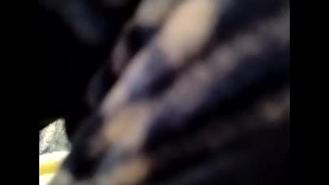 hardandhorny422 online show from 23, 10, 2025