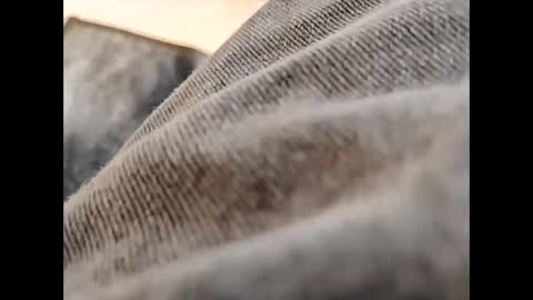 hardandhorny422 online show from 30, 10, 2025