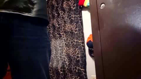 Funsize online show from 8, 2, 2026