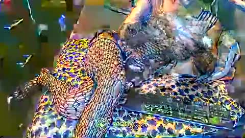 Irina online show from 2, 2, 2025