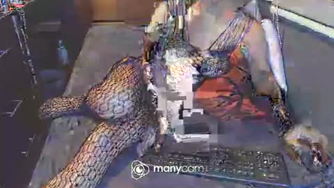 Irina online show from 3, 3, 2025