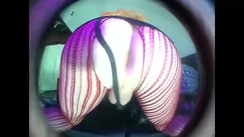 Snapshot of hardkoregigi chatting on 19, 9, 2025 hardkoregigi online show from 19, 9, 2025