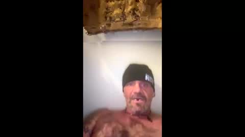 Snapshot of harleyfox2 chatting on 6, 11, 2025 harleyfox2 online show from 6, 11, 2025