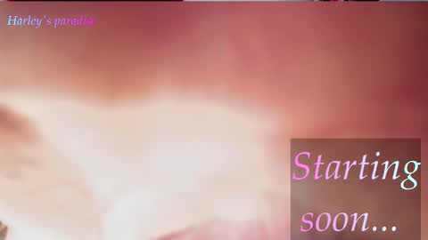 Snapshot of harleyparadise chatting on 14, 2, 2026 900 am to 300 pm - GTM 5 Weekdays online show from 14, 2, 2026