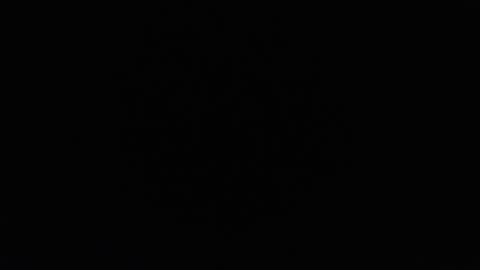 OMAR online show from 23, 1, 2025