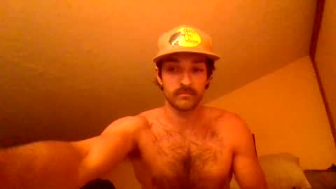 Snapshot of harrycheeks chatting on 29, 6, 2026 harrycheeks online show from 29, 6, 2026