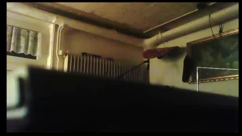 Snapshot of hartwichser1 chatting on 8, 12, 2024 hot n nasty online show from 8, 12, 2024