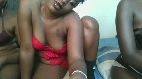 Havanna online show from 2, 6, 2026