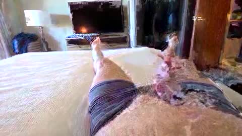 havebeardwilltravel3250 online show from 15, 1, 2026