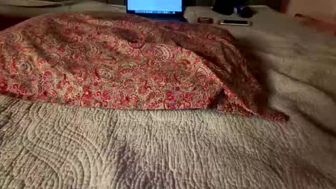Snapshot of hawt_ass_milf chatting on 8, 3, 2026 Amber - or vip online show from 8, 3, 2026