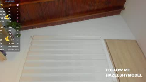 Snapshot of hazel_shy chatting on 7, 12, 2024 Im Hazel online show from 7, 12, 2024