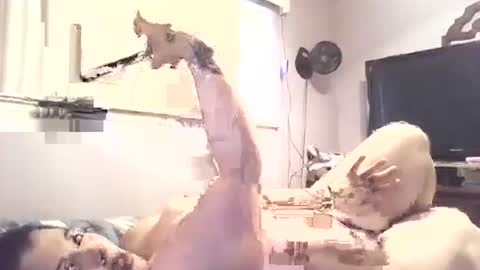 hazelbasil32728 online show from 30, 10, 2025