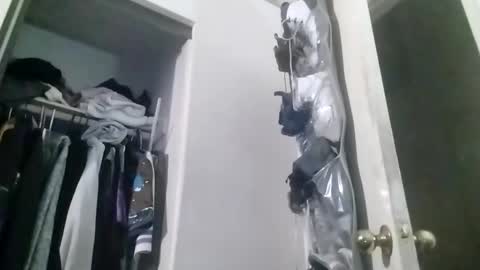 hbdj2164 online show from 20, 12, 2024