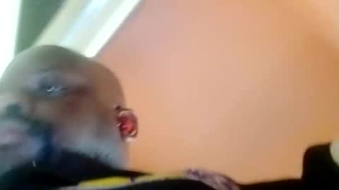 hbdj2164 online show from 23, 2, 2025