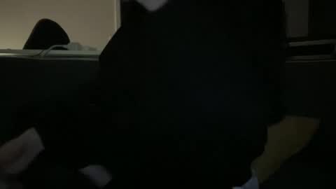 hchappel19 online show from 1, 10, 2025